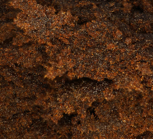 Ketama – Résine CBG/CBD : Puissance Terpénique & Tradition Orientale