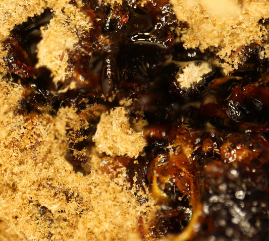 MoonRock CBD – Cultivée en intérieur, puissance interstellaire