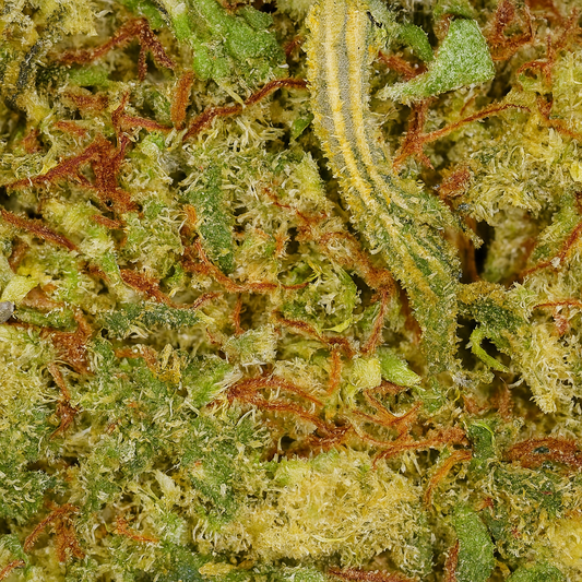 Fleurs de CBD Mandarine – cultivée en hydroponie