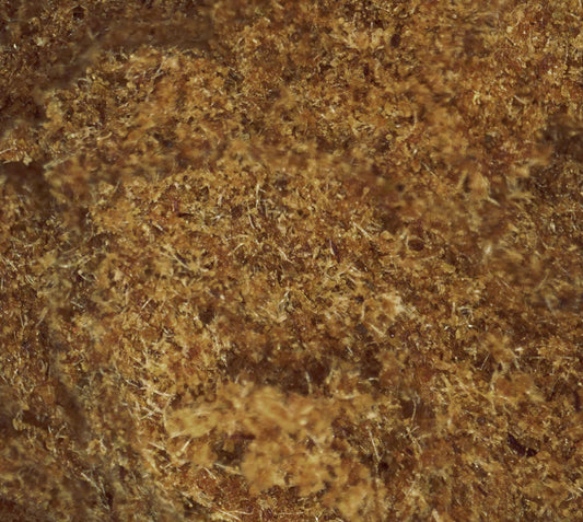 King Hassan – Résine CBD