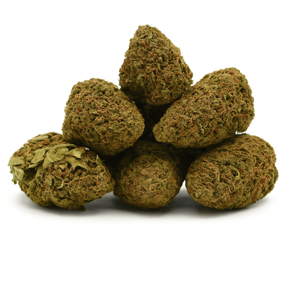 Lemon Haze CBD – Cultivée sous serre (Greenhouse)