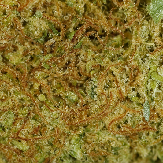 Kryptonite CBD [Hydroponique]