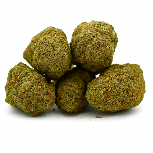 Alien Kush CBD – Hydroponie, Puissance et Pureté Cosmique